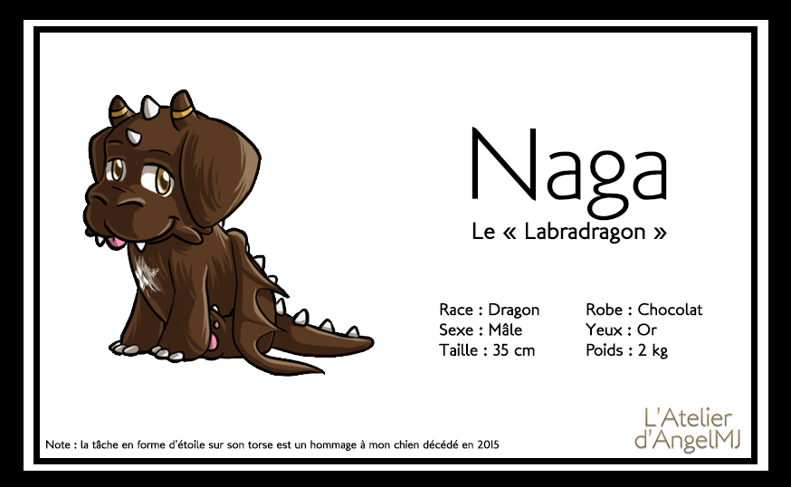 nagapresentation